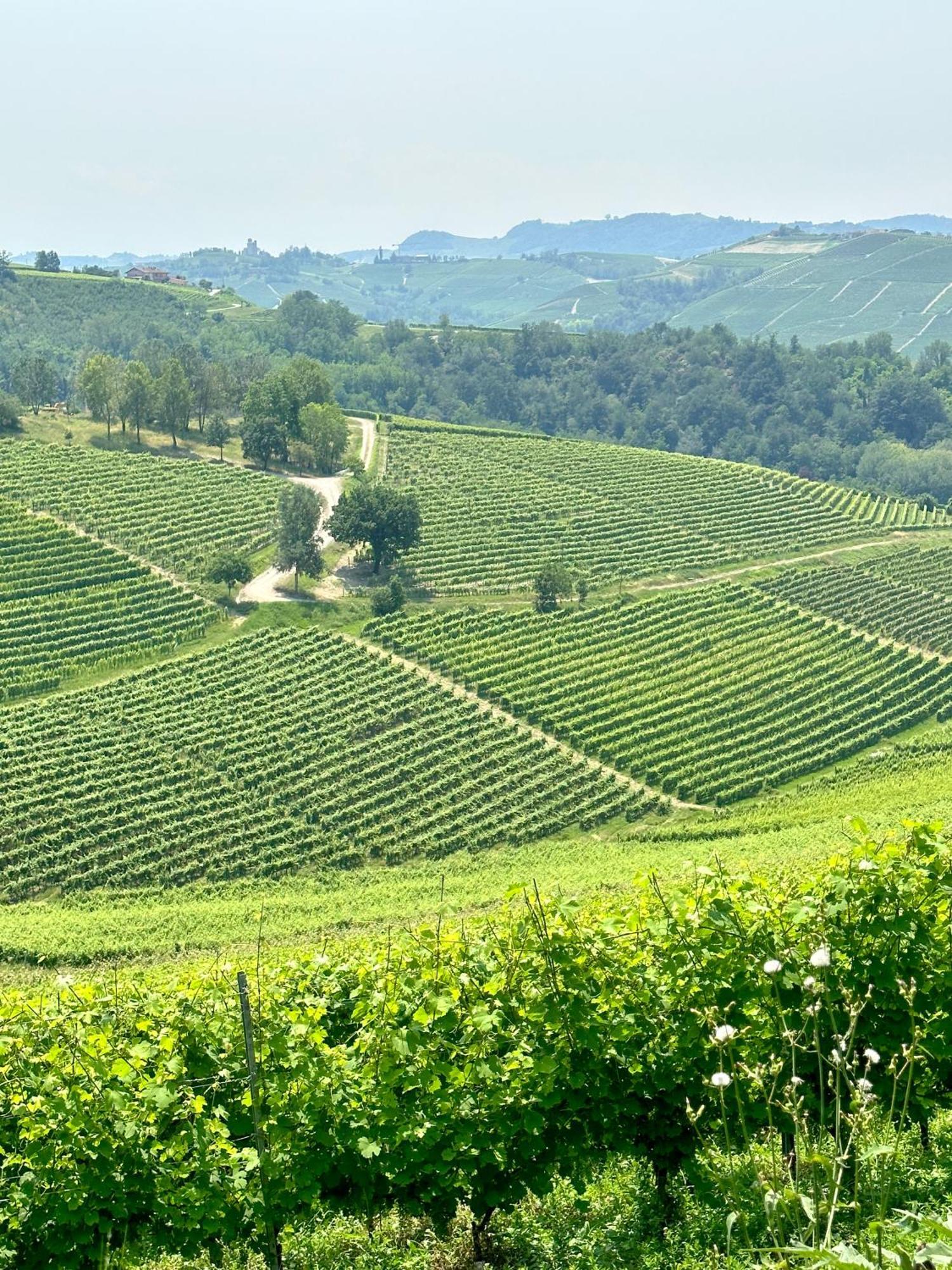 Just Langhe Casa Barolo Villa Novello Exterior photo